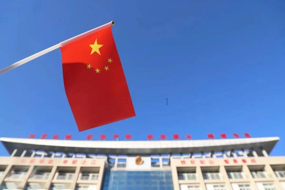 植物大战僵尸21