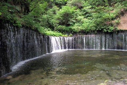 莲座紫金牛治跌打损伤是用叶子煮水喝吗？游戏画面